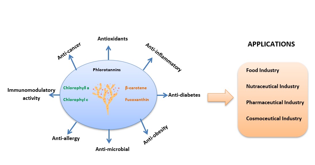 Graphical Abstract